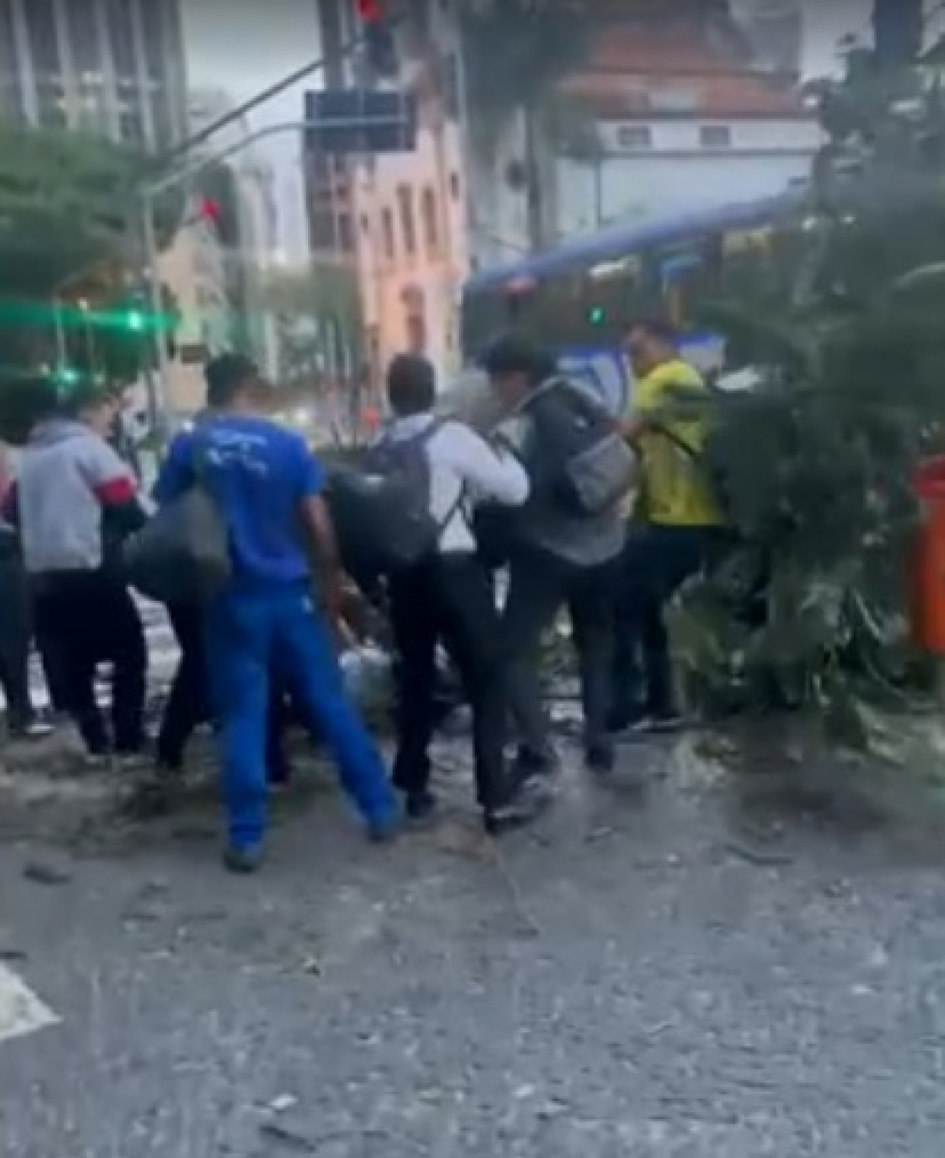 Árvore cai e atinge homem no Centro do Rio - Reprodução Redes Sociais