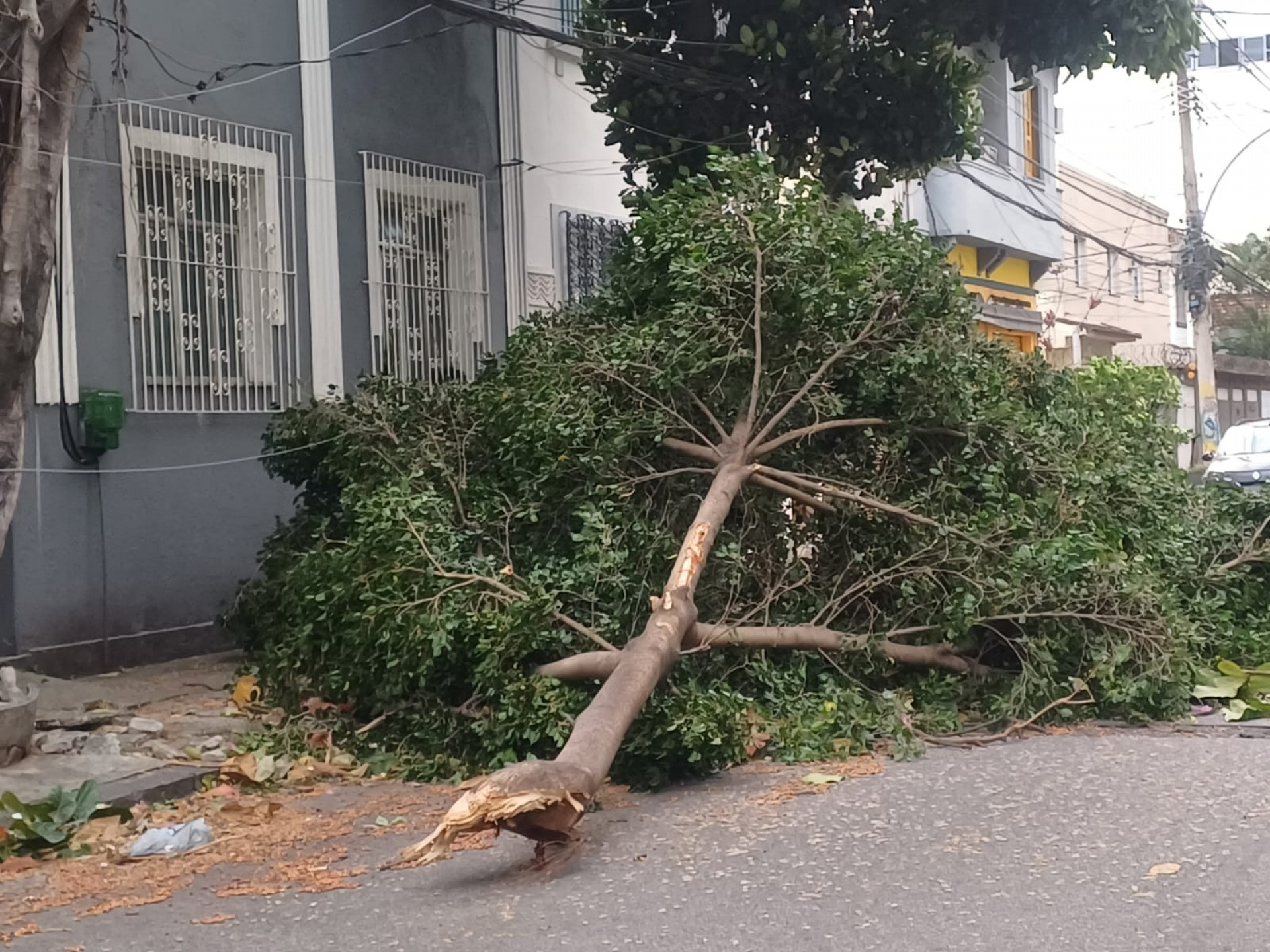 Rua Barão de Itaipu, no Andaraí - Foto: Agência O Dia