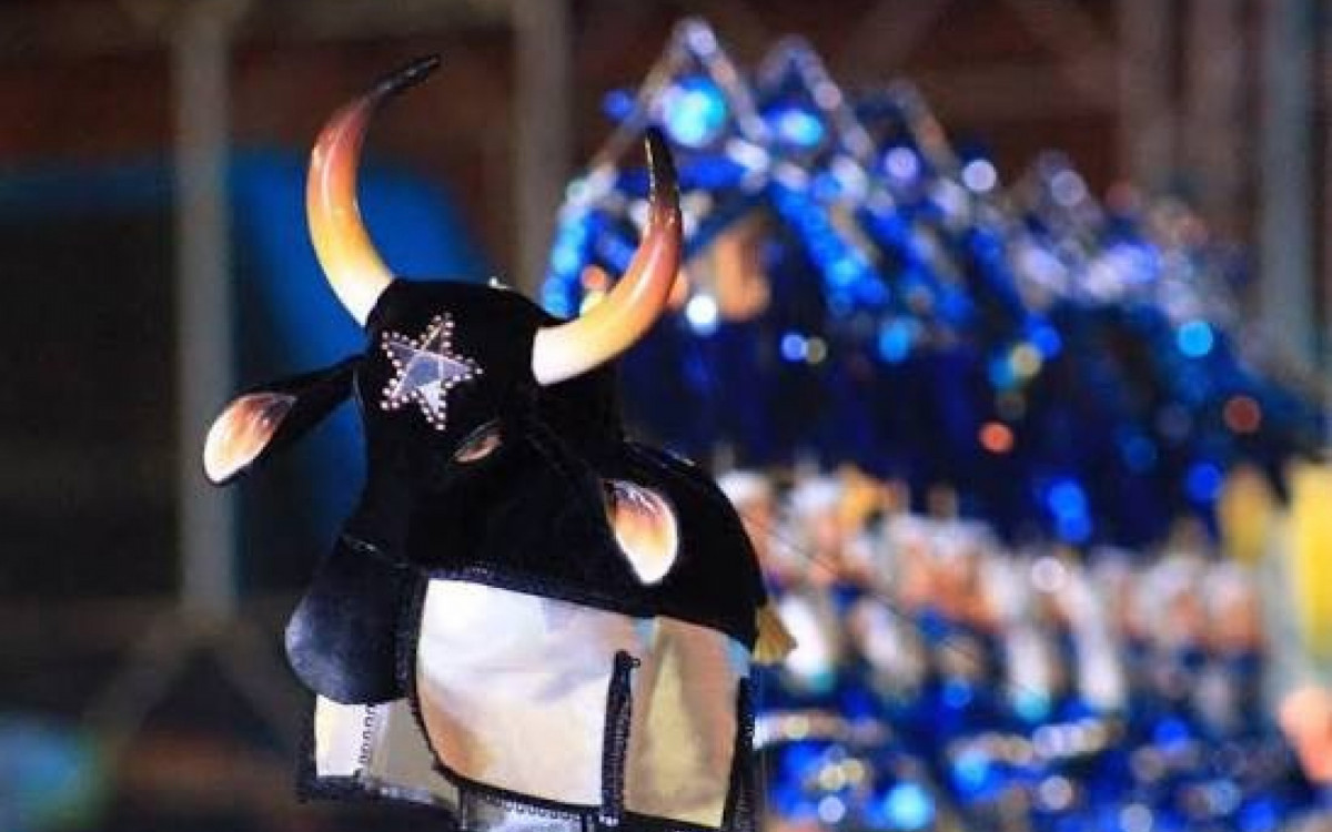 Mini boi do Caprichoso é uma das peças da exposição que exalta o Festival de Parintins