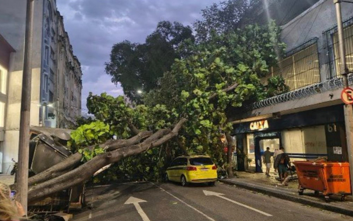 Rua do Riachuelo, na Lapa, ficou obstruída por uma árvore