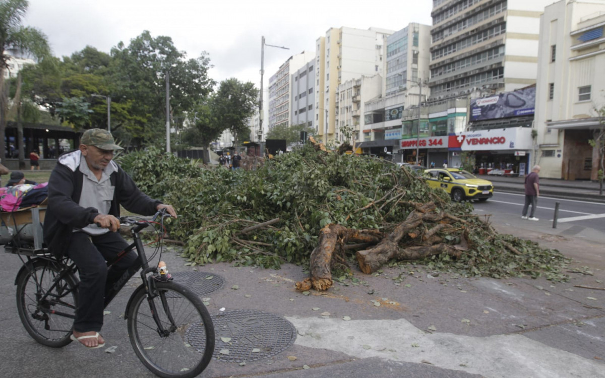 Praça Saens Peña, na Tijuca, ficou ocupada por uma árvore caída