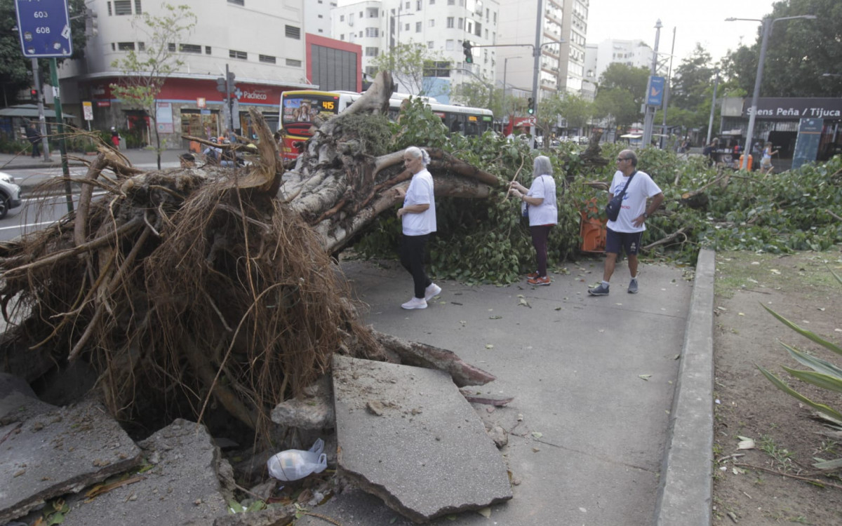 Cariocas observam árvore caída na Praça Saens Peña, na Tijuca, nesta manhã