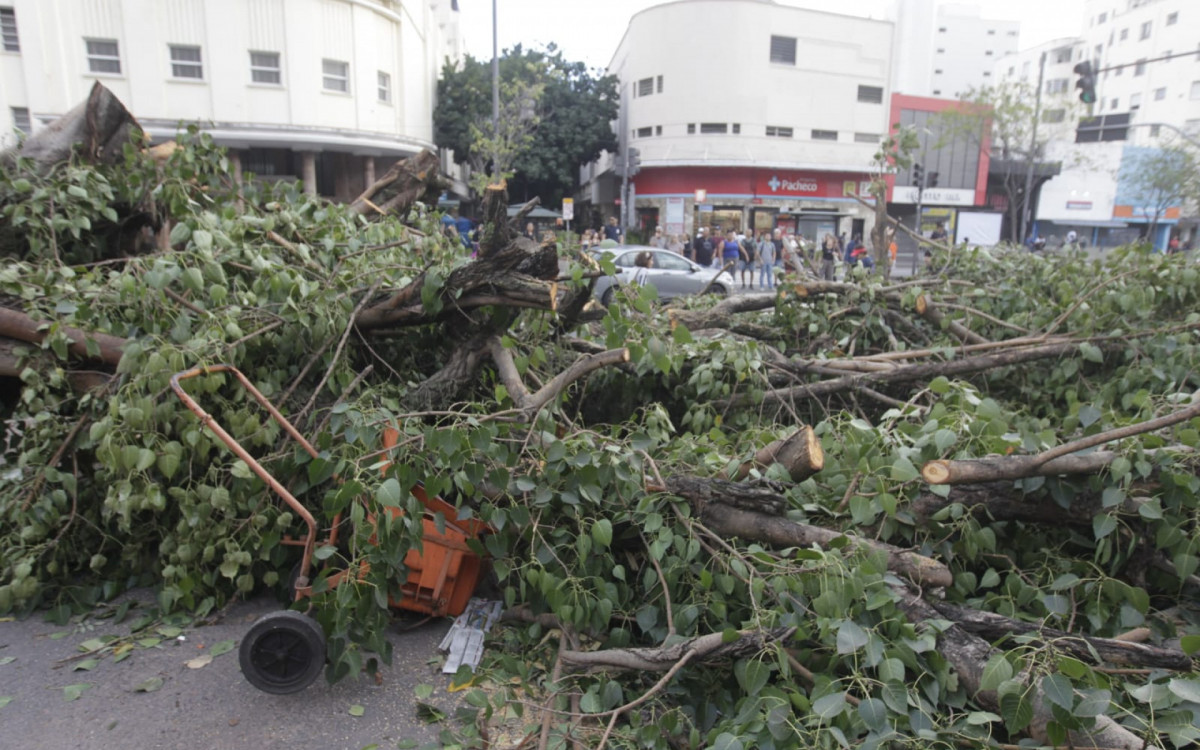 Praça Saens Peña, na Tijuca, ficou ocupada por uma árvore caída