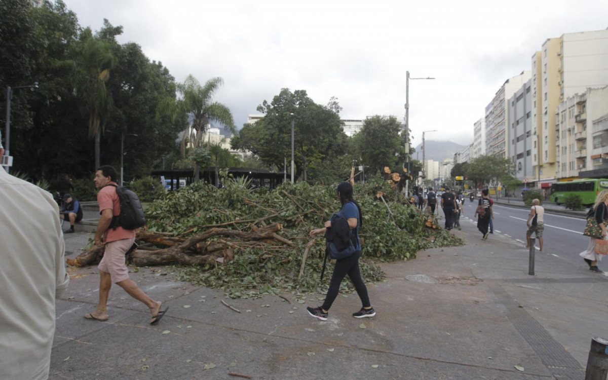 Praça Saens Peña, na Tijuca, ficou ocupada por uma árvore caída
