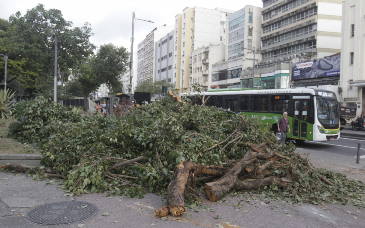 Praça Saens Peña, na Tijuca, ainda tinha uma árvore caída nesta manhã