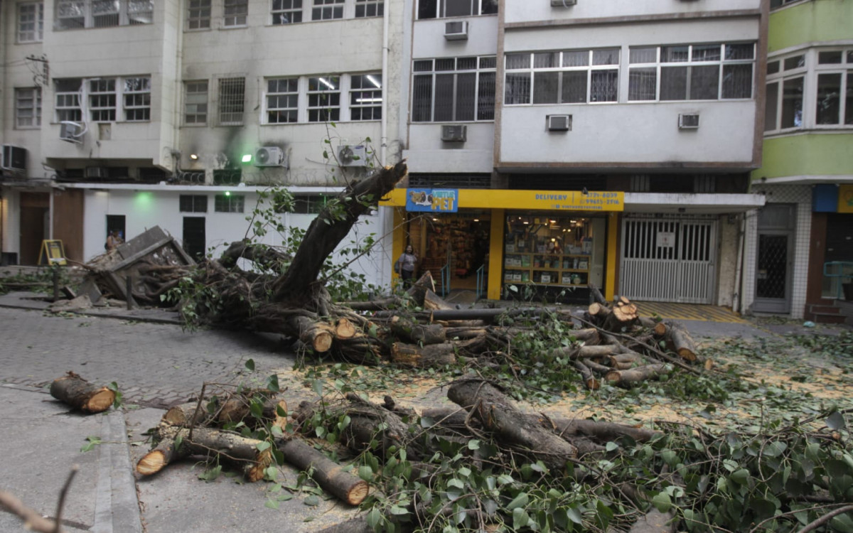 Ventania derrubou árvore na Rua Soares da Costa, na Tijuca