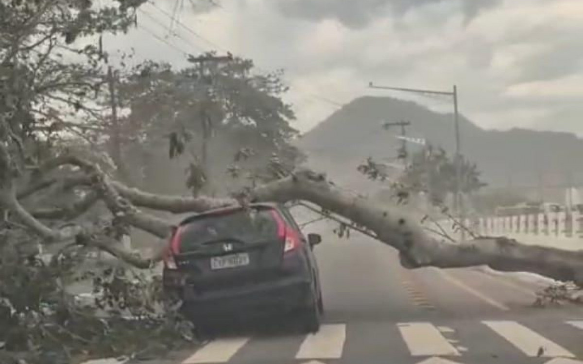 Carro foi atingido por uma árvore arrancada pela raíz durante a ventania no centro de Angra