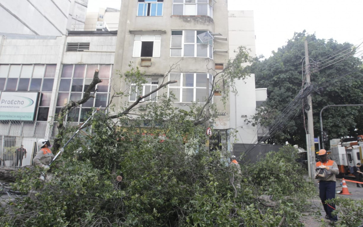 Funcionários da Light atuam em árvore caída na Rua Pinto de Figueiredo, na Tijuca