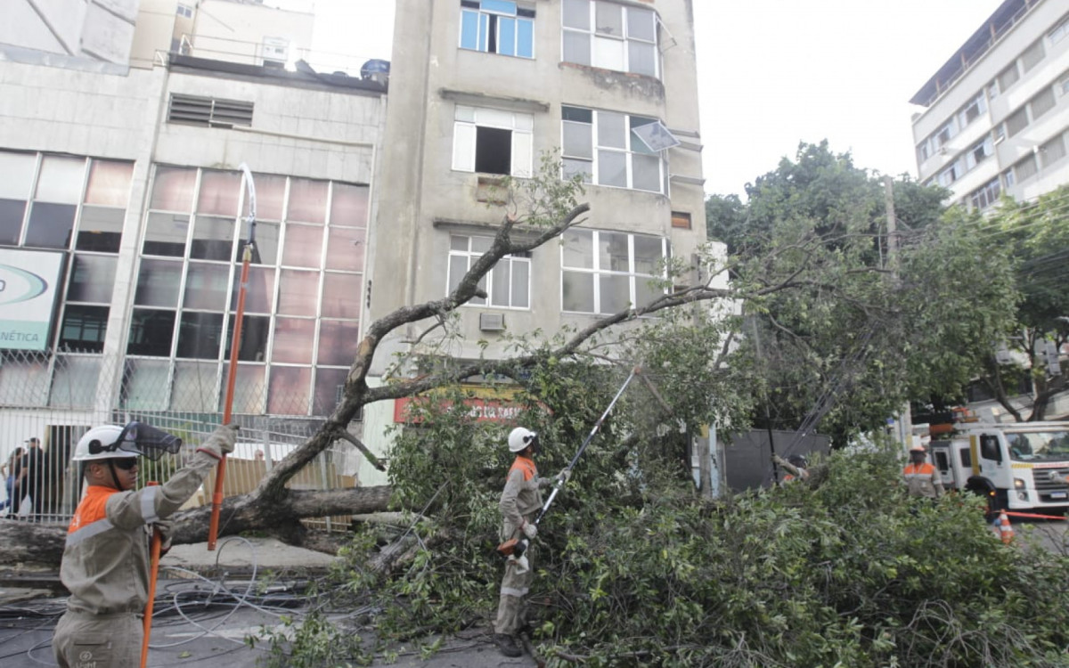 Tijuca amanheceu com três árvores caídas nesta quinta-feira
