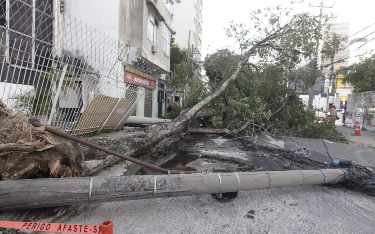 Tijuca amanheceu com três árvores caídas nesta quinta-feira