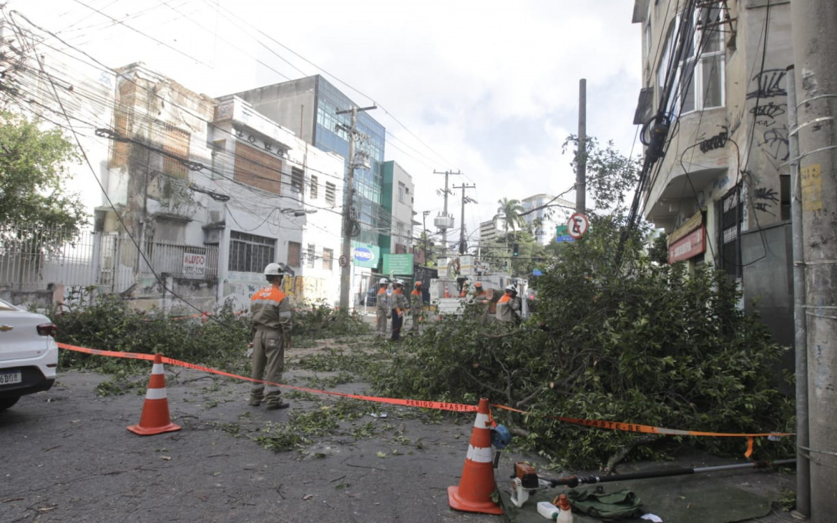 Árvore caída na Rua Pinto de Figueiredo, na Tijuca, um dos bairros mais atingidos pelo vendaval