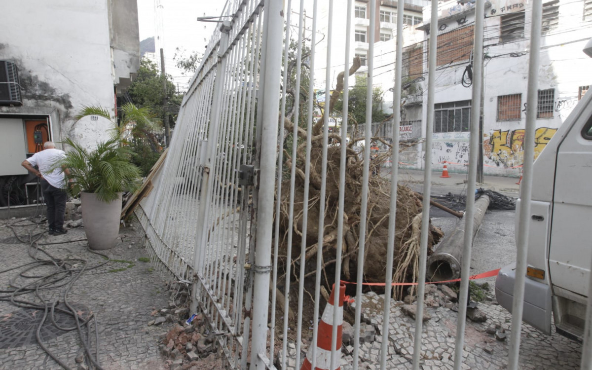 Árvore caída na Rua Pinto de Figueiredo, na Tijuca, um dos bairros mais atingidos pelo vendaval