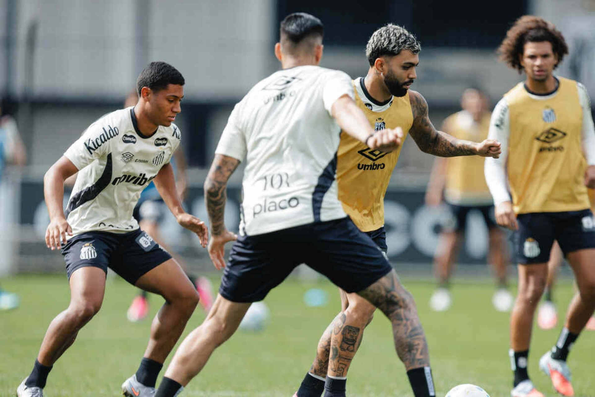 Com novidades, Santos inicia prepara&ccedil;&atilde;o para enfrentar o Remo