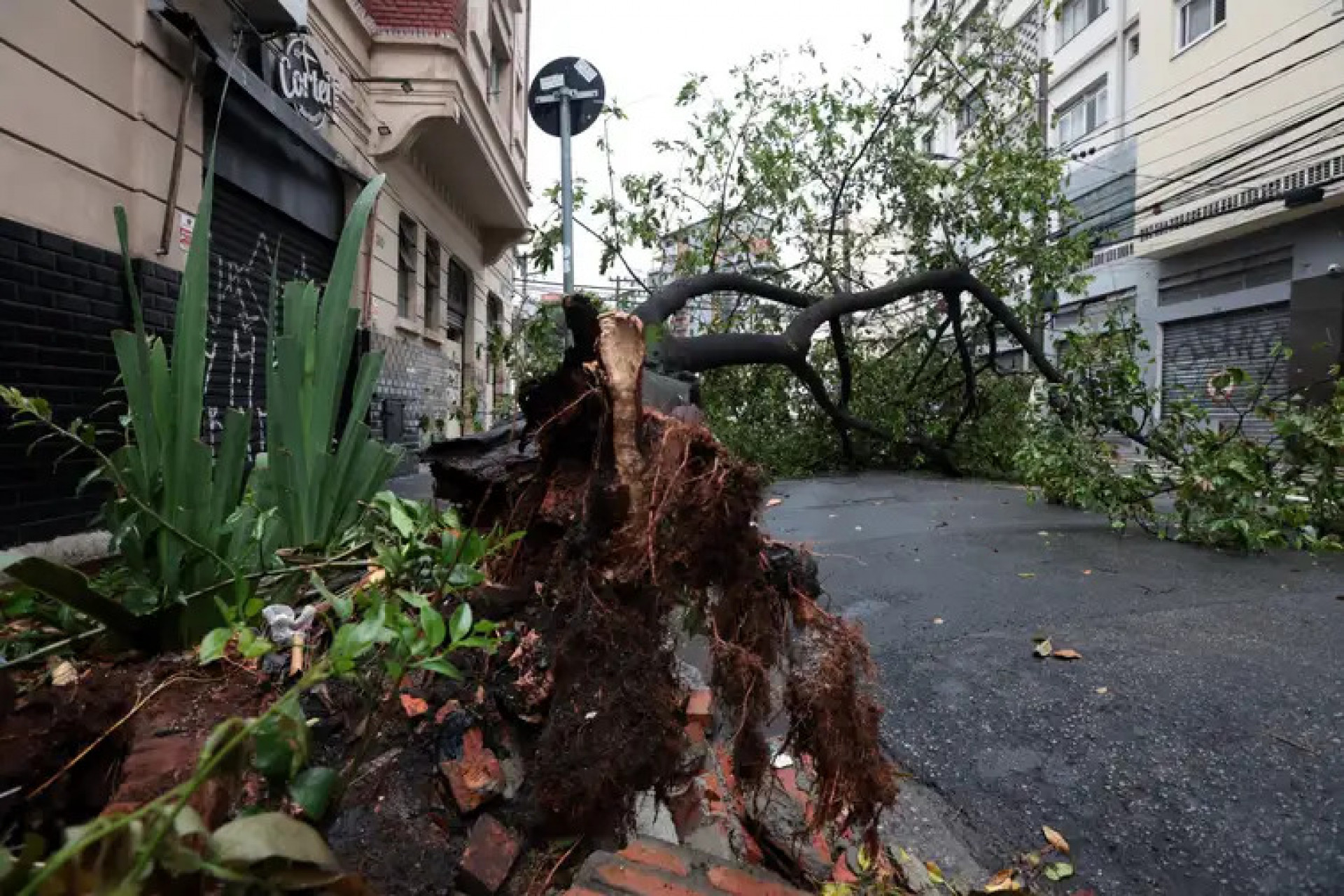 Meteorologistas dizem que não é possível associar ventanias ao El Niño - QTU Questões do Universo