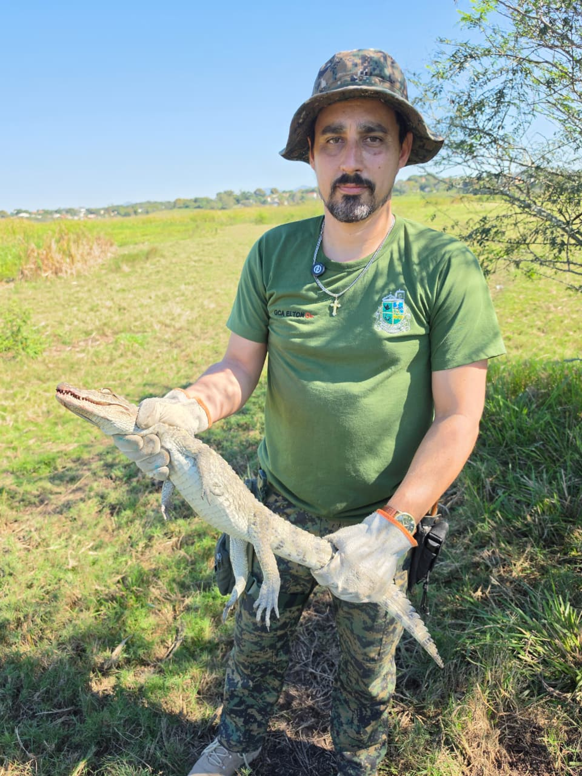 Jacaré-de-papo amarelo é resgatado pela Guarda Ambiental de Saquarema em Vilatur - Divulgação/Prefeitura de Saquarema