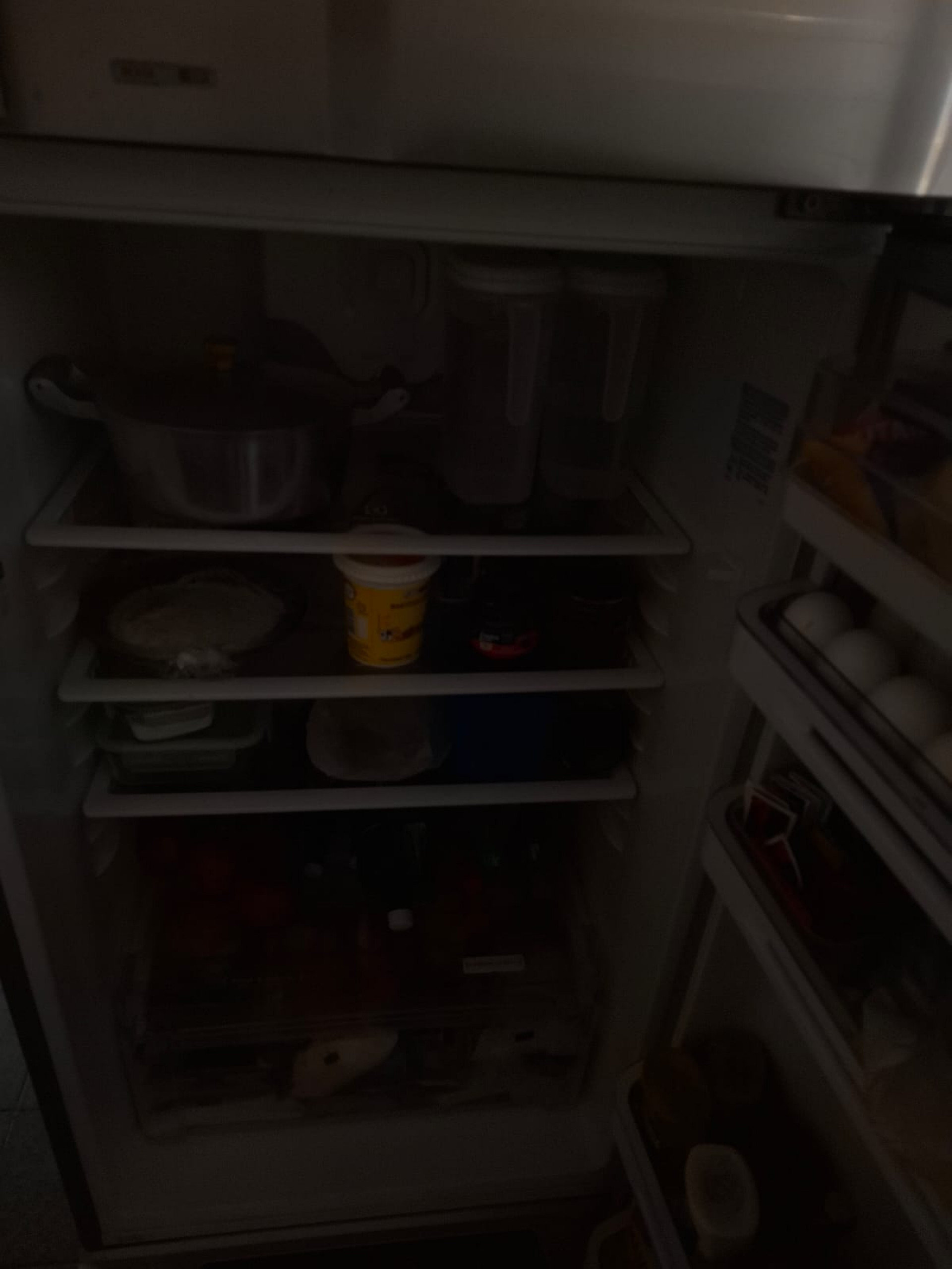 Regiane Sobral já perdeu todos os alimentos da geladeira - Arquivo pessoal