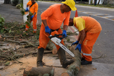 Clin mobiliza 600 colaboradores para desobstrução de vias e limpeza após forte rajada de vento