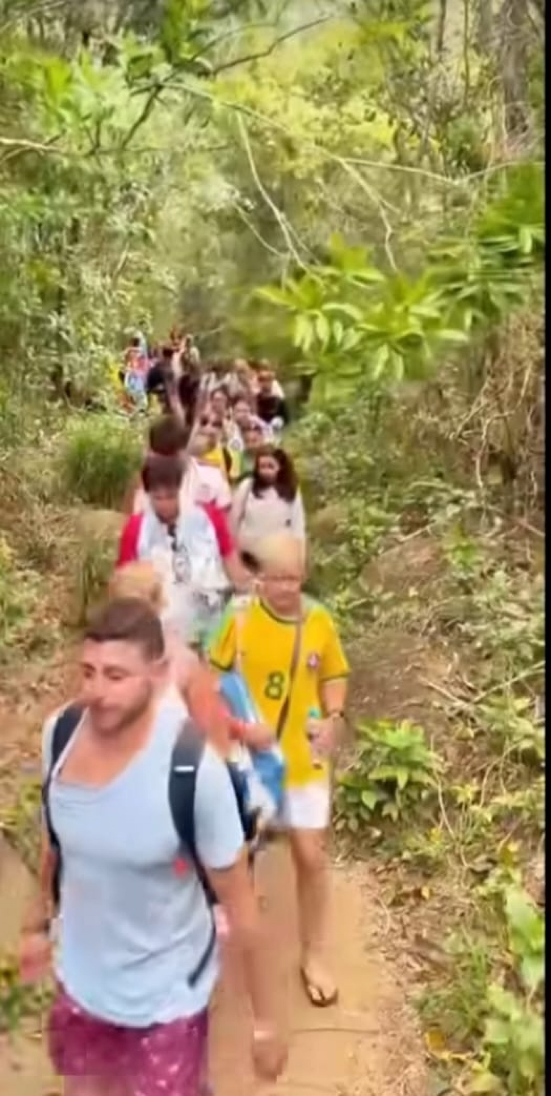 Turistas sendo resgatados pela Trilha de Lopes Mendes  - Divulga&ccedil;&atilde;o/Reprodu&ccedil;&atilde;o Rede Social