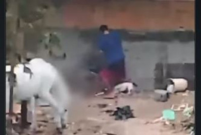 Polícia prende homem por maus-tratos a animais em Sepetiba