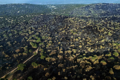 Messi doa quase R$ 500 mil para áreas atingidas por incêndios na Espanha