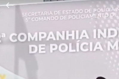 Polícia apreende cerca de 25,5 kg de maconha em área de mata em Paraty