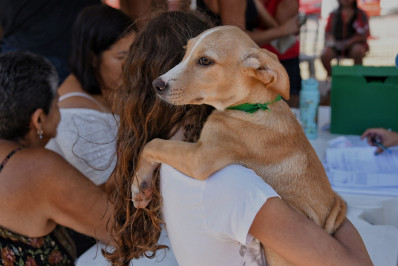 Prefeitura de Maricá cria catálogo digital para incentivar adoção responsável de cães e gatos