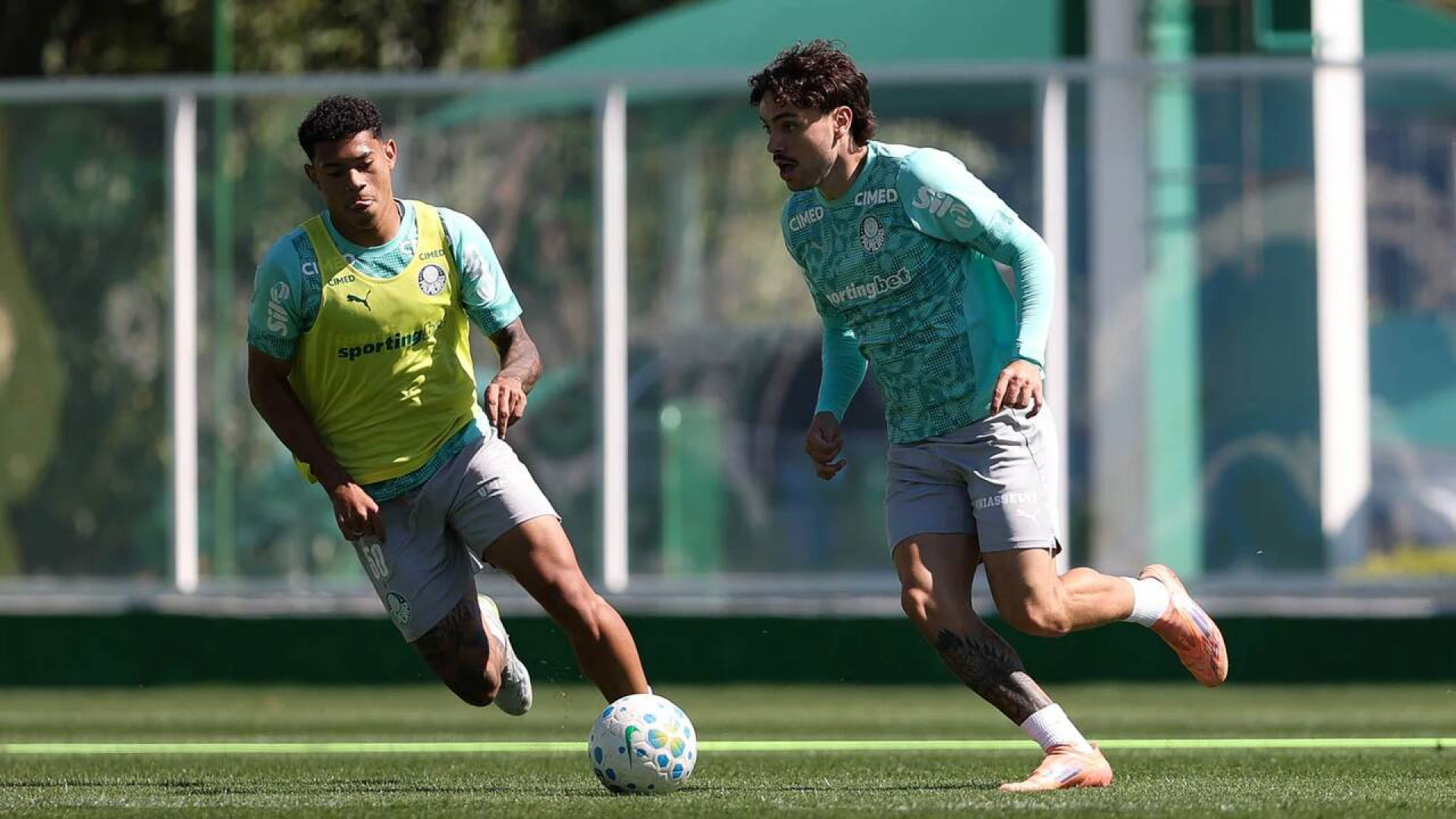 G&oacute;mez e Barboza avan&ccedil;am, mas seguem como d&uacute;vida no Palmeiras