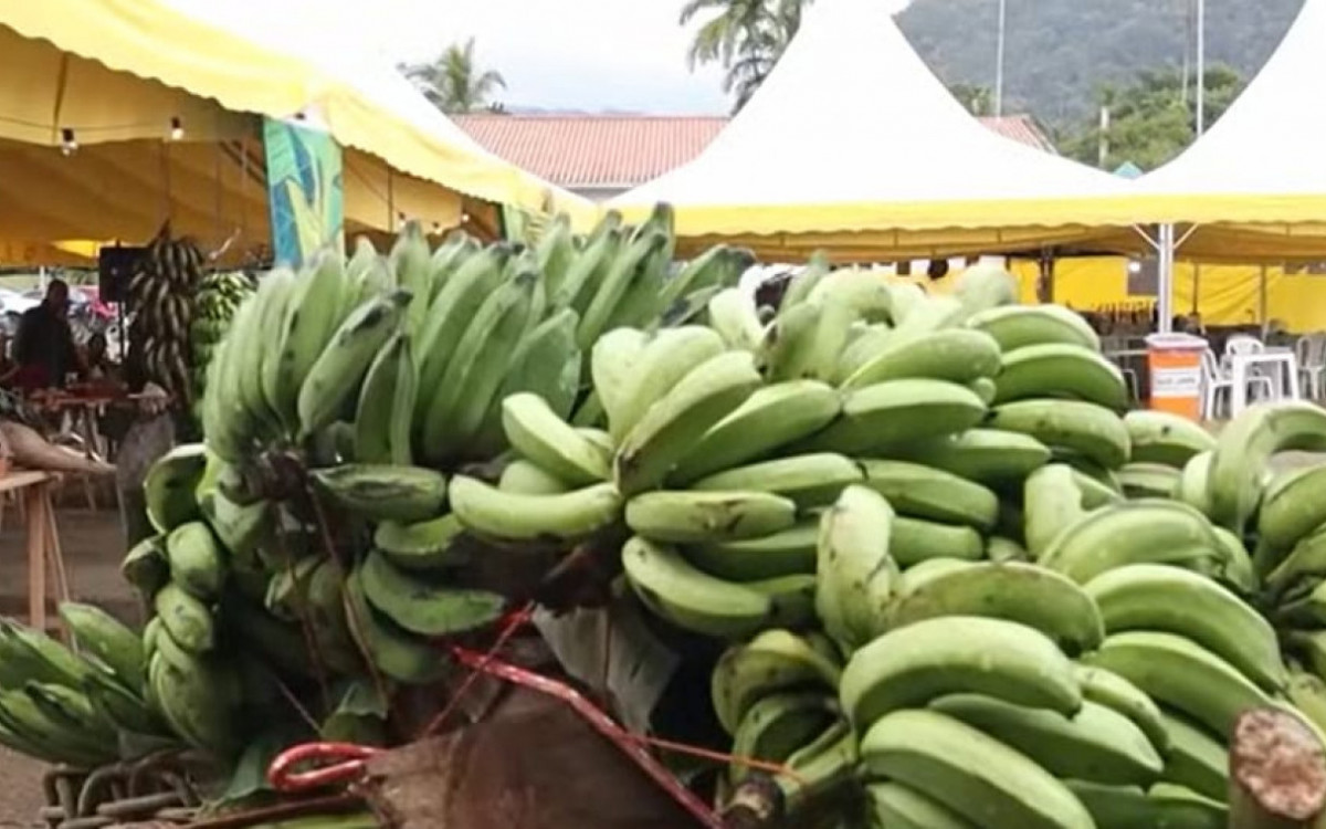 Banana faz parte da merenda escolar