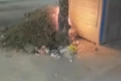 Incêndio destrói banca de jornal na Taquara; veja o vídeo