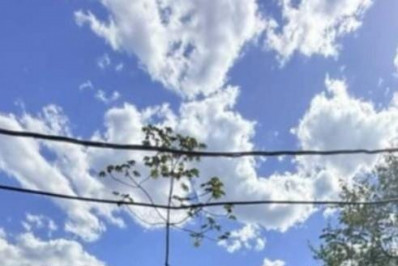 Polícia Ambiental chega a loteamento irregular em área de Paraty