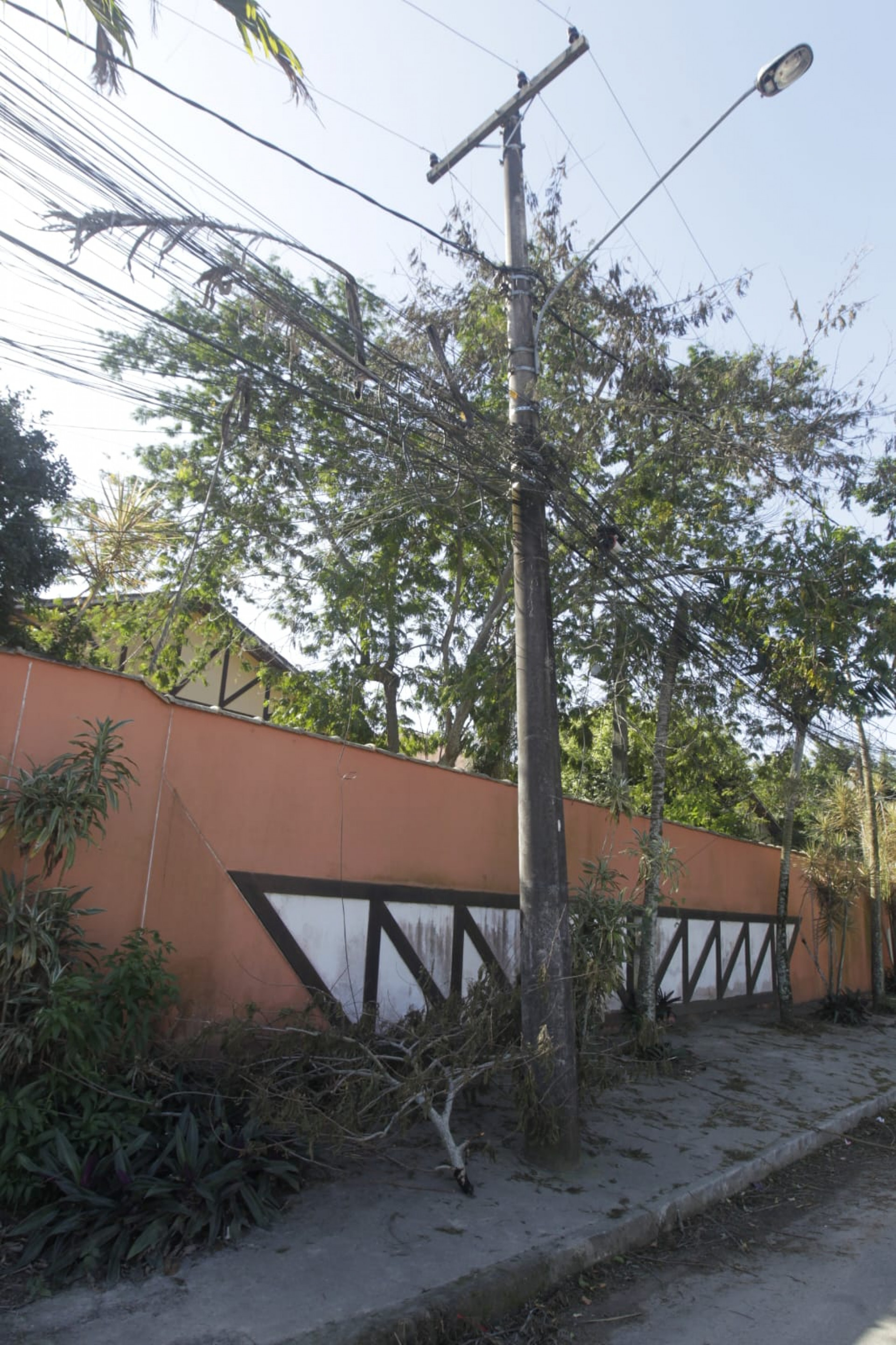 Galho caído próximo ao poste na Rua Jornalista Ary Guanabara, em Itaipu - Reginaldo Pimenta / Agência O Dia