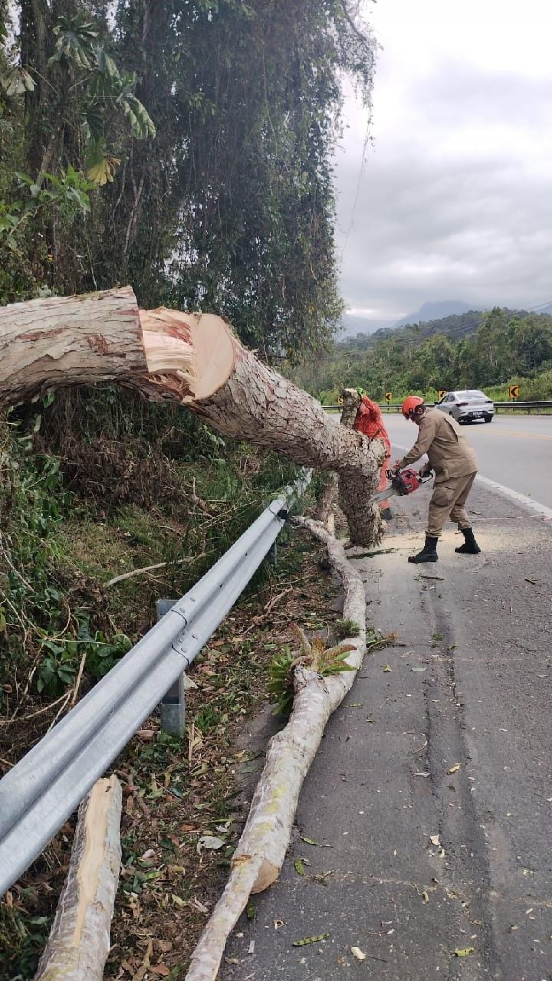 Trecho na altura de Mambucaba, em Angra dos Reis