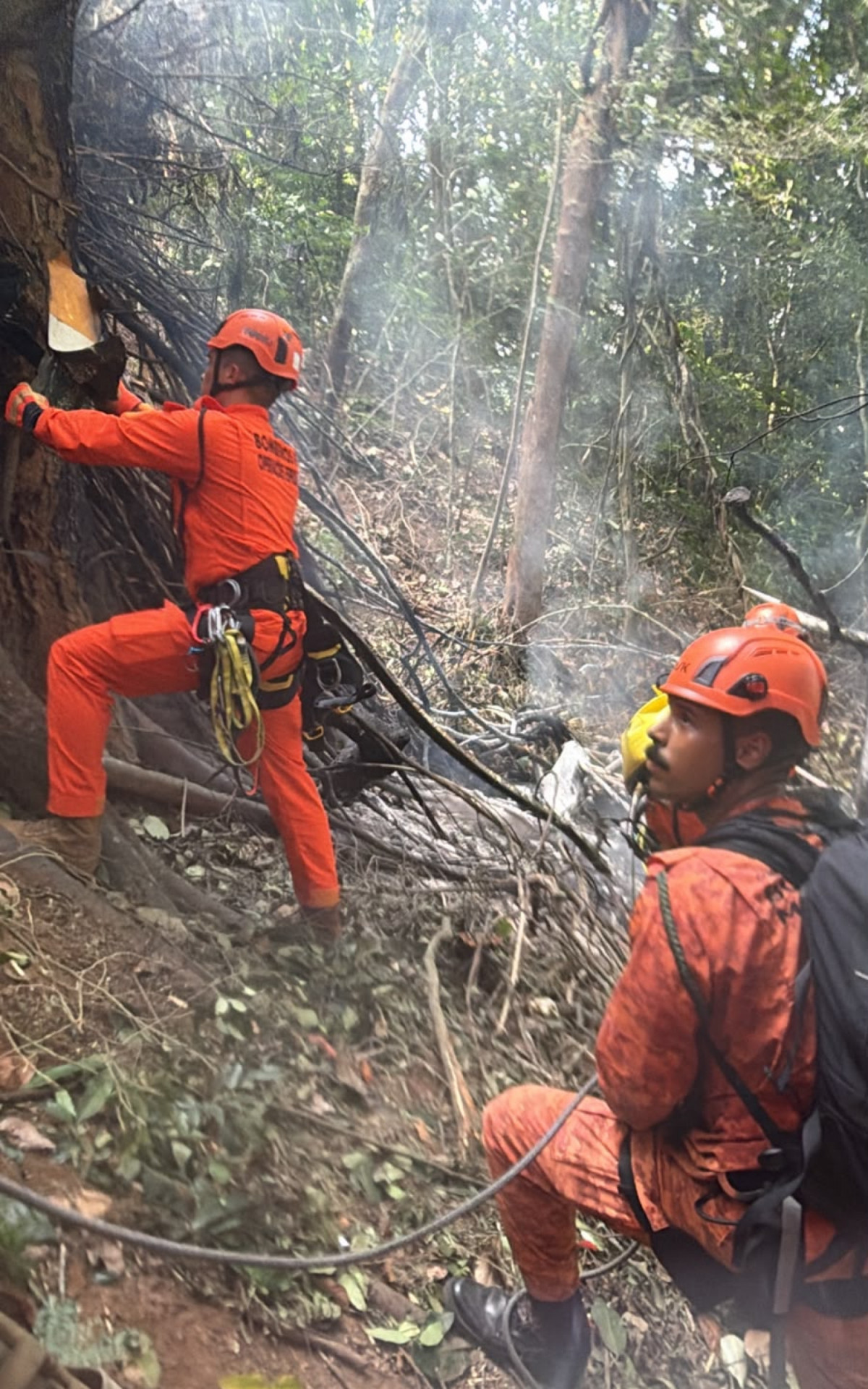 Bombeiros trabalharam para controlar incêndio provocado por queda de helicóptero