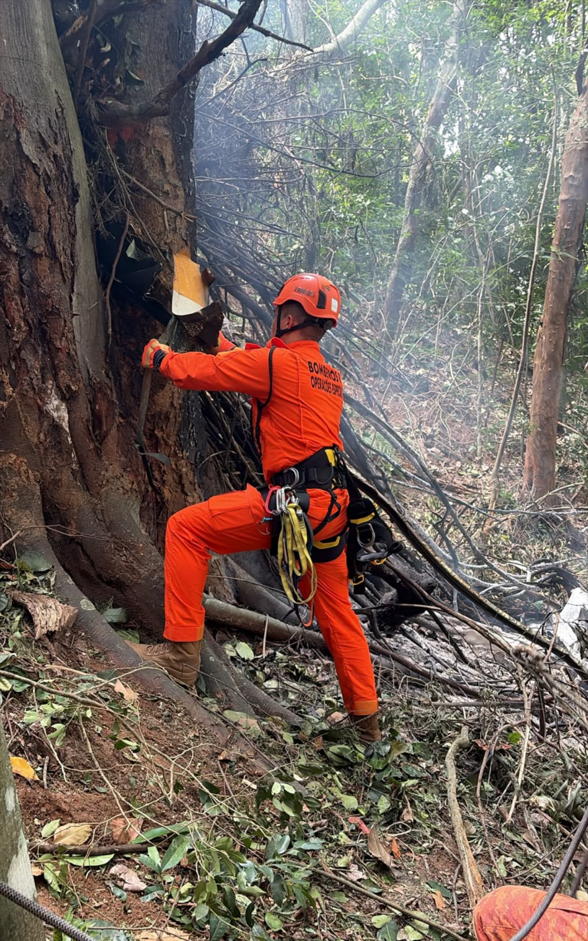 Bombeiros trabalharam para controlar incêndio provocado por queda de helicóptero