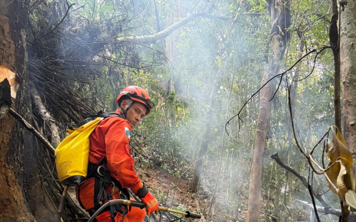 Bombeiros trabalharam para controlar inc&ecirc;ndio provocado por queda de helic&oacute;ptero