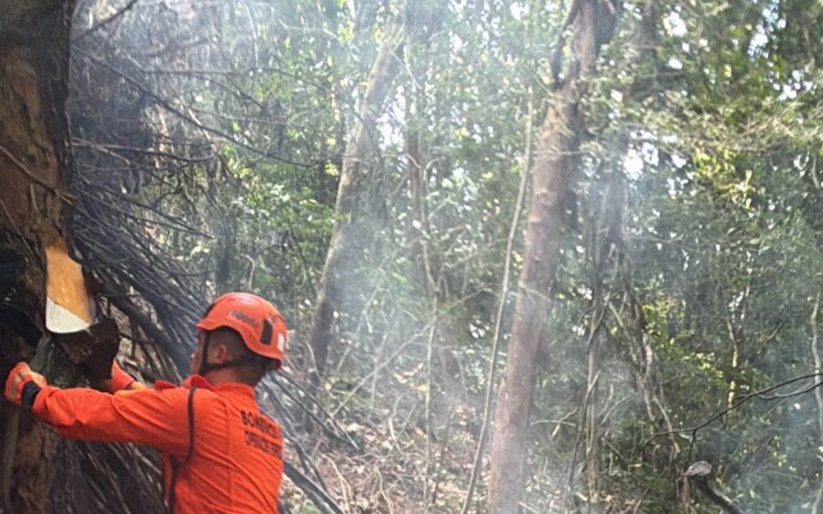 Bombeiros trabalharam para controlar inc&ecirc;ndio provocado por queda de helic&oacute;ptero