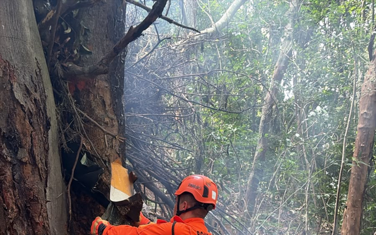 Bombeiros trabalharam para controlar inc&ecirc;ndio provocado por queda de helic&oacute;ptero