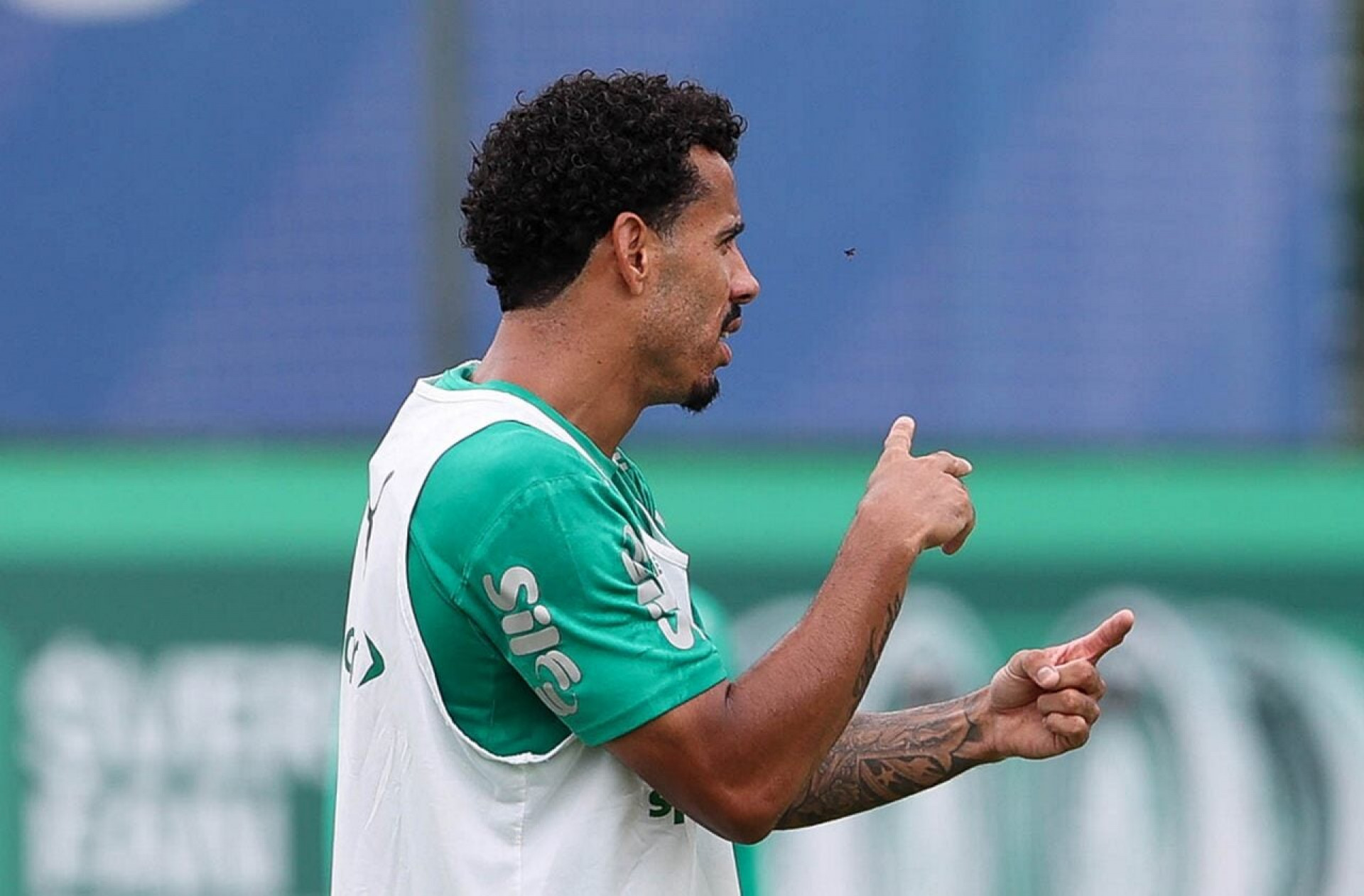 Palmeiras prepara duelo com Internacional em campanha hist&oacute;rica
