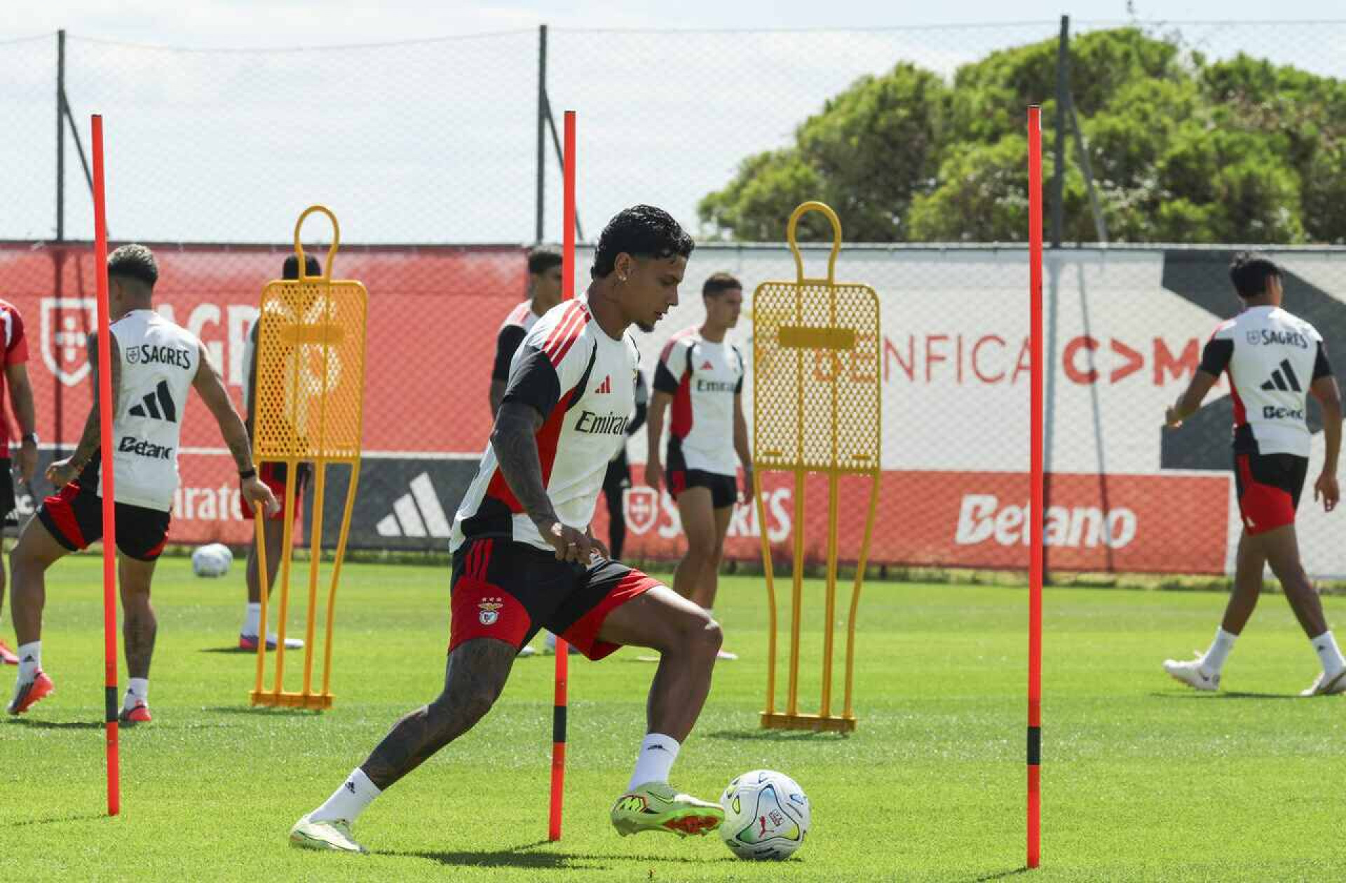 Benfica x Acad&ecirc;mico de Viseu: onde assistir, escala&ccedil;&otilde;es e arbitragem
