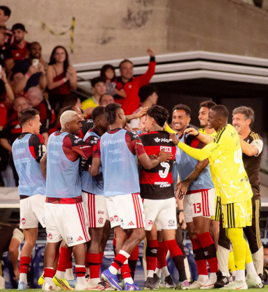 Flamengo vence Vitória com golaço de Pulgar pelo Brasileirão