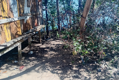 Projeto inicia recuperação de manguezal e Carbono Azul na Comunidade do Gato