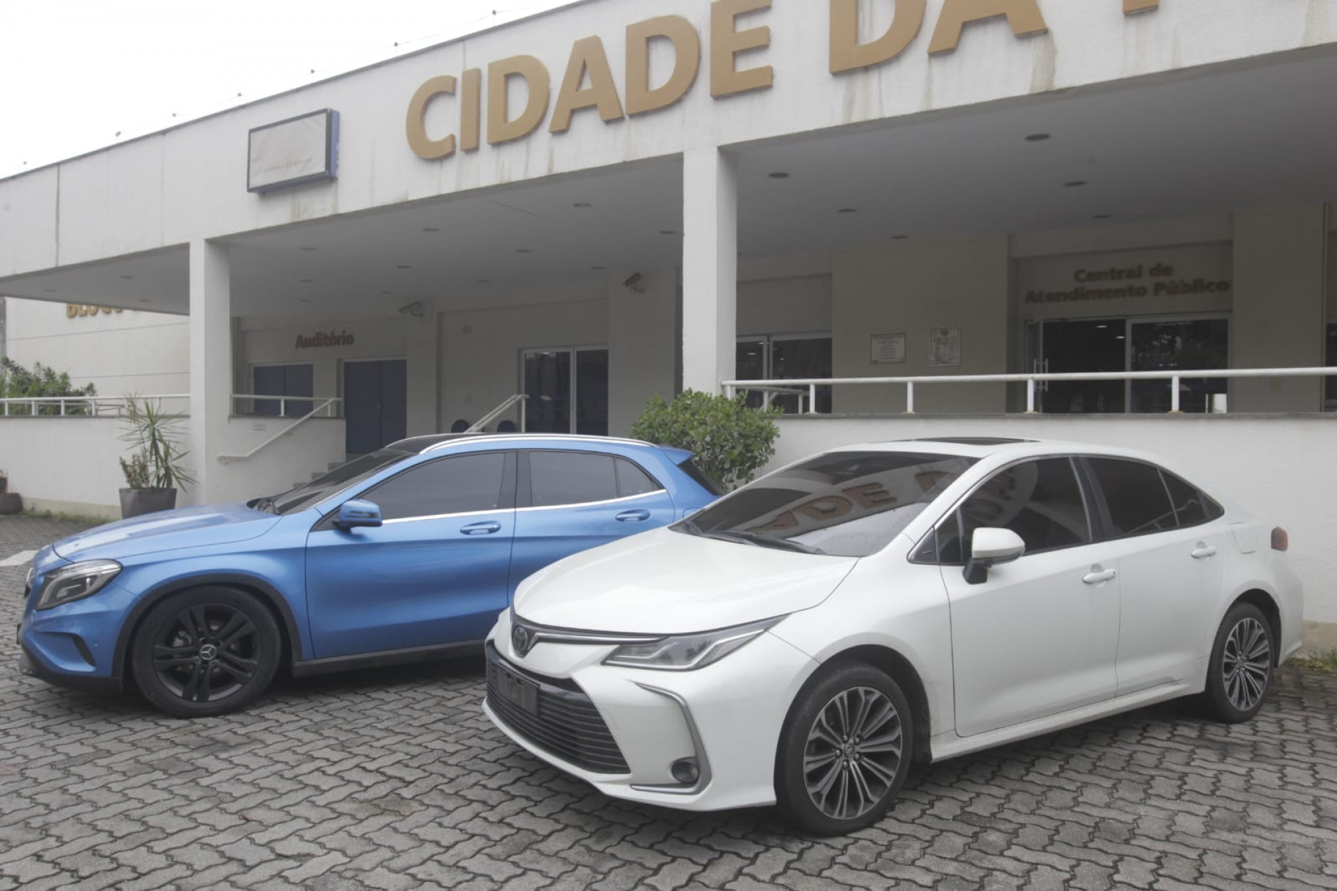  - Reprodução