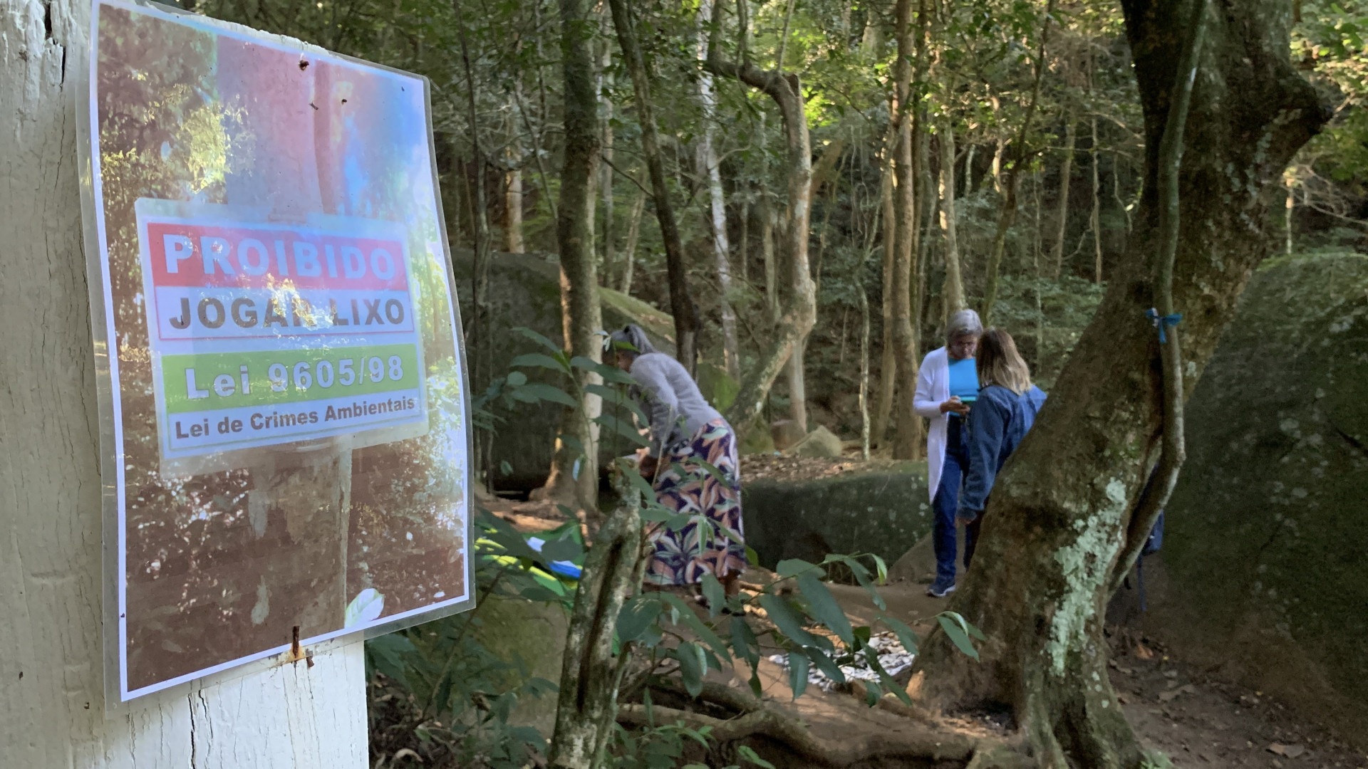 Ação de ordenamento no Morro Cardoso Fontes aconteceu ao longo de julho - Divulgação / Parque Nacional da Tijuca