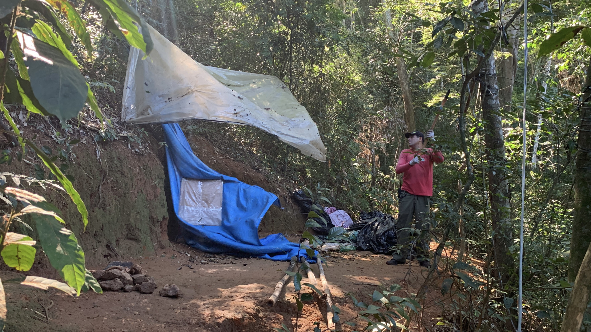 Ação de ordenamento no Morro Cardoso Fontes aconteceu ao longo de julho - Divulgação / Parque Nacional da Tijuca