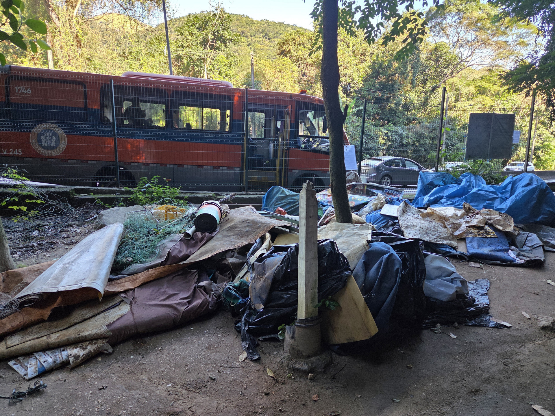 Ação de ordenamento no Morro Cardoso Fontes aconteceu ao longo de julho - Divulgação / Parque Nacional da Tijuca