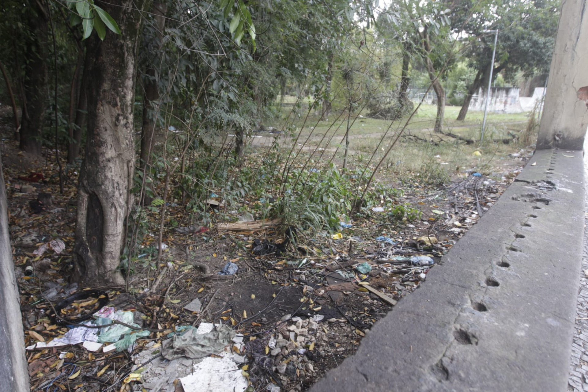 Parque Recanto do Trovado, em Vila Isabel, sofre com acúmulo de folhas de árvores e lixos - Reginaldo Pimenta / Agência O DIA