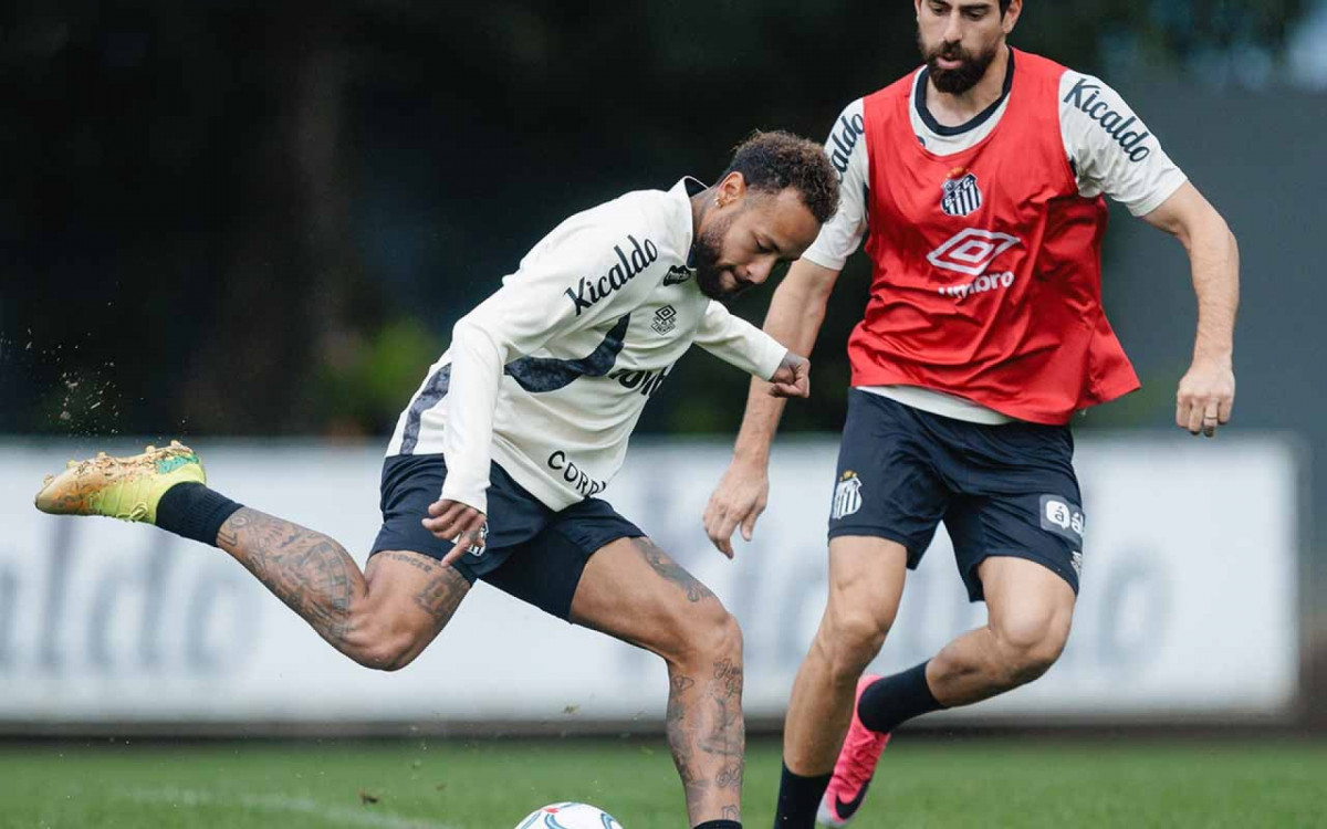 Neymar topa atuar no sint&eacute;tico em duelo entre Santos e Palmeiras