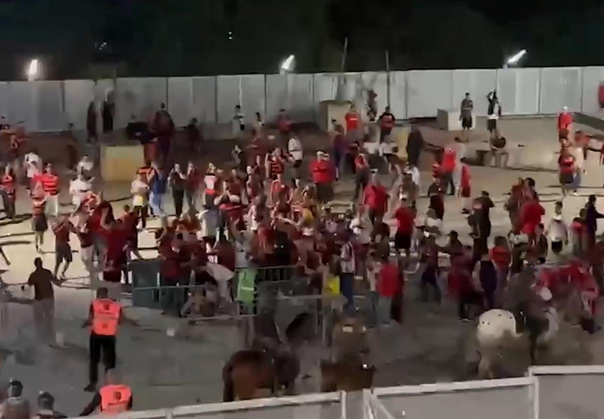 Confus&atilde;o e g&aacute;s de pimenta marcam entrada de flamenguistas no Mineir&atilde;o