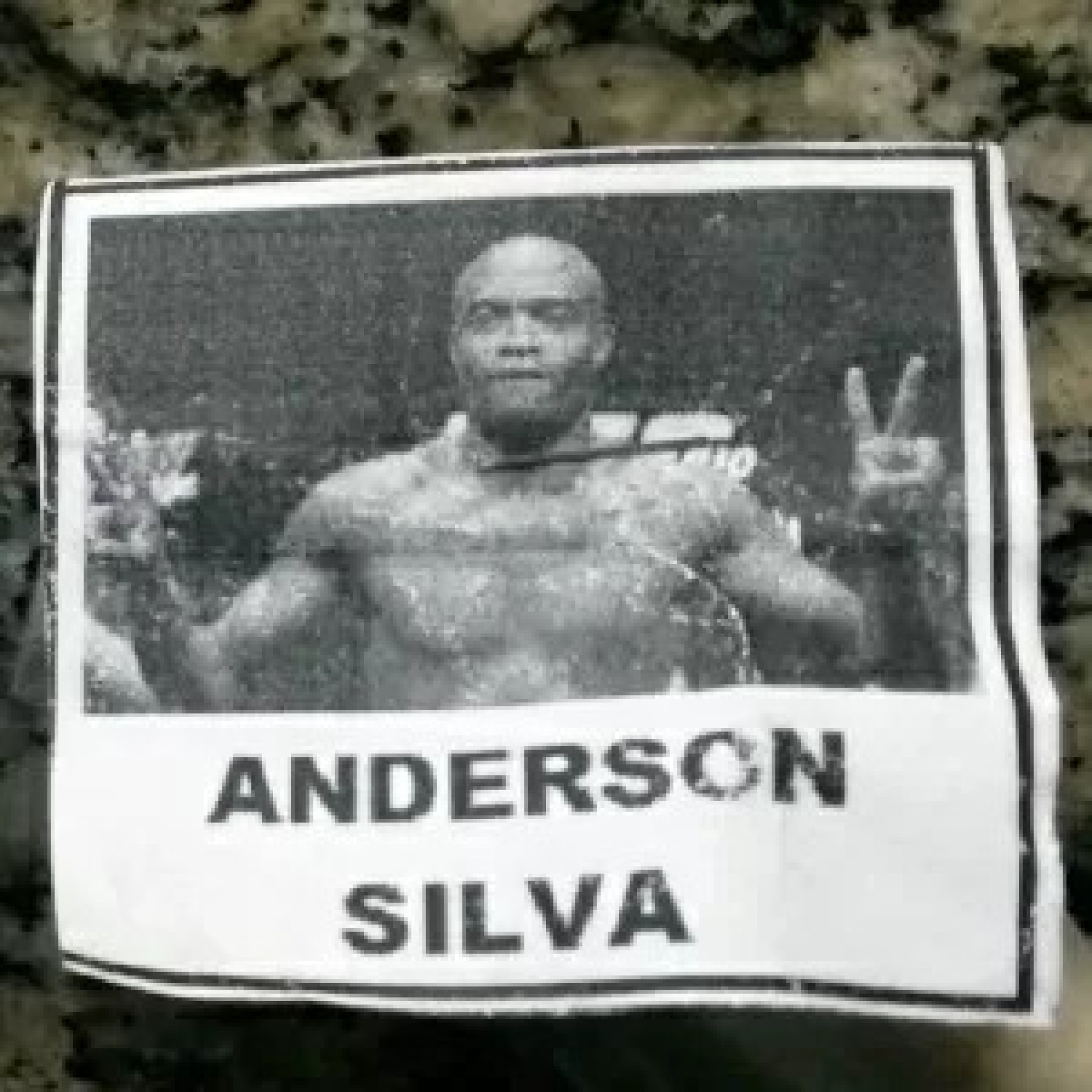 Lutador Anderson Silva teve a imagem estampada em embalagens com droga  - Divulgação/PRF