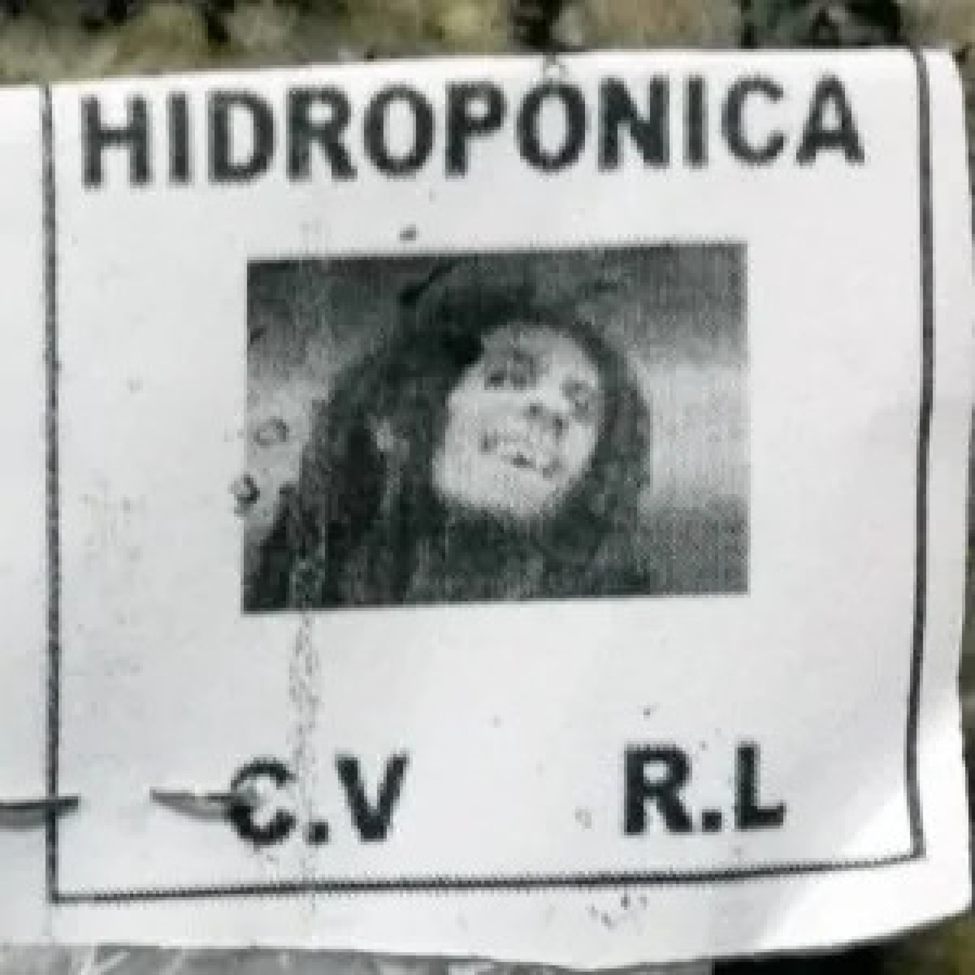 Criminosos usaram foto de Bob Marley para estampar drogas no Rio - Divulgação/PRF